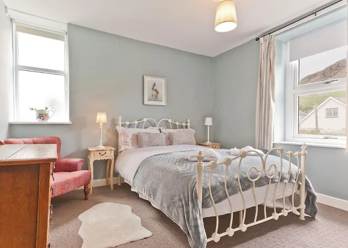 Vine Tree * Coniston